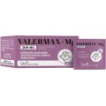 ValerMax + Mg 500 mg N28